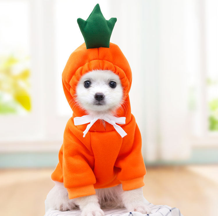 Felpa Invernale con Frutta per Cani di Piccola Taglia – Calda, Morbida e Divertente