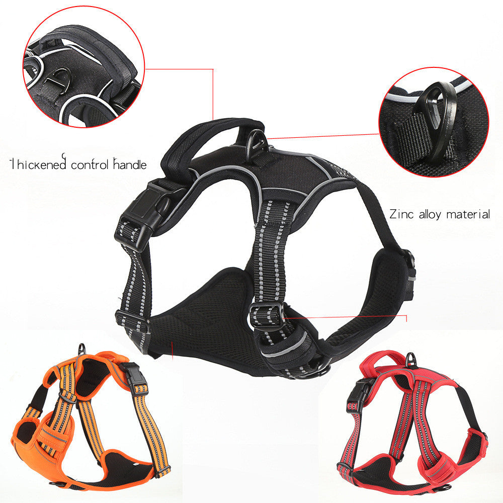 Pettorina Comfort Antitiro per Cani – Sicura, Leggera e Visibile