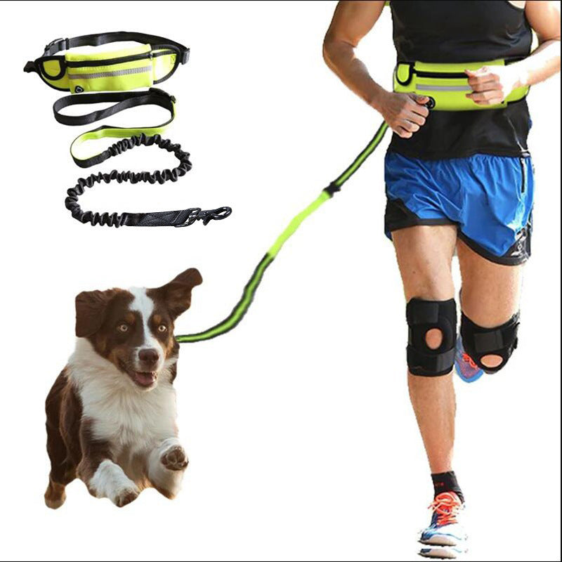 Cintura da Passeggiata con Guinzaglio Elastico – Porta Borraccia e Tasca per Cellulare