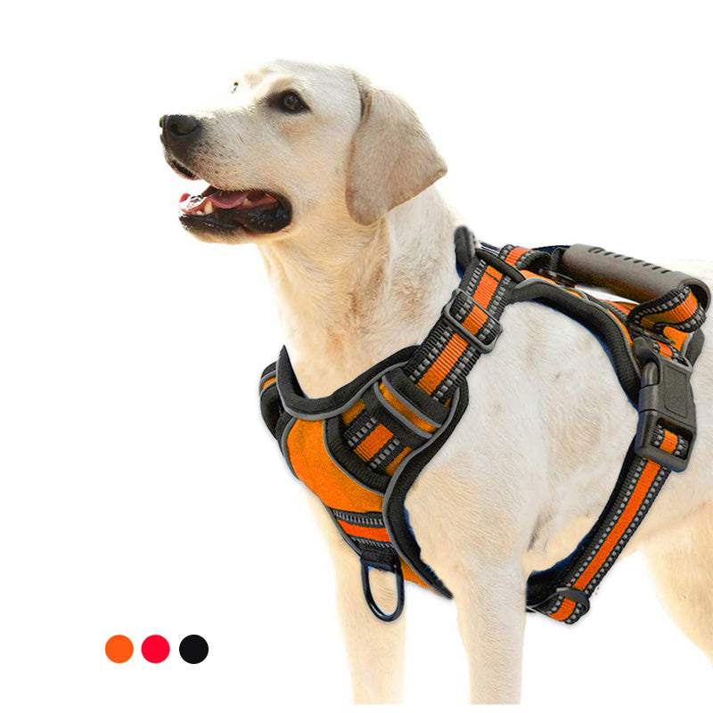 Pettorina Comfort Antitiro per Cani – Sicura, Leggera e Visibile