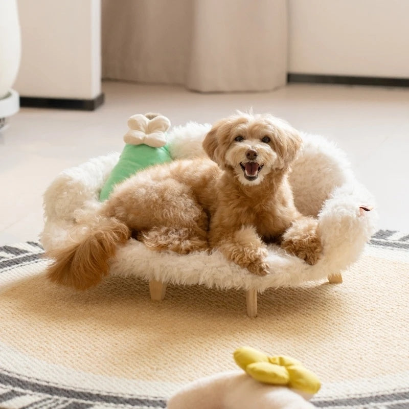 Letto in Legno per Cani e Gatti | Cuccia di Lusso e Sicurezza