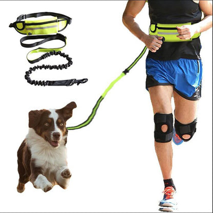 Cintura da Passeggiata con Guinzaglio Elastico – Porta Borraccia e Tasca per Cellulare