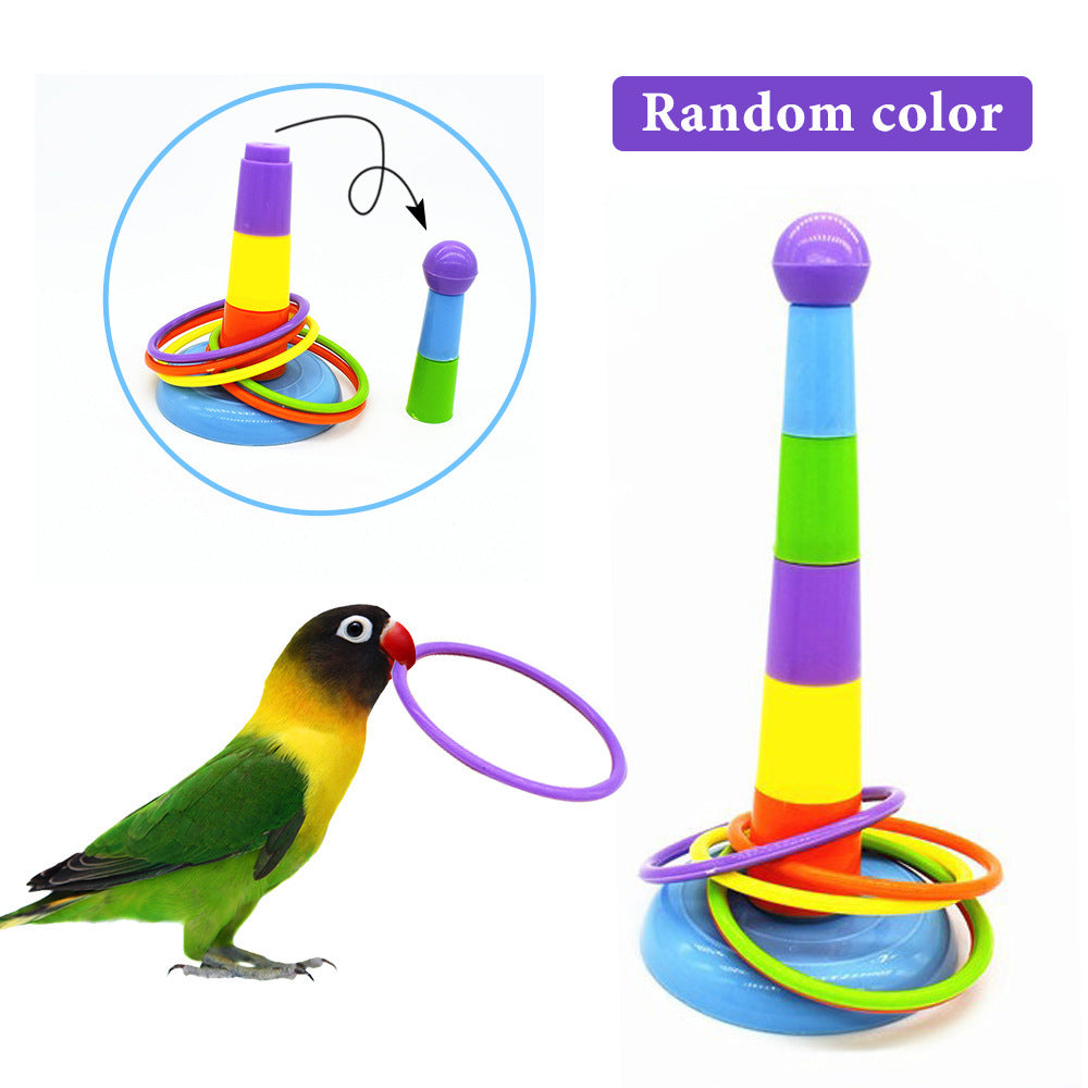 Gioco ad Anelli per Pappagalli – Divertimento e Stimolazione