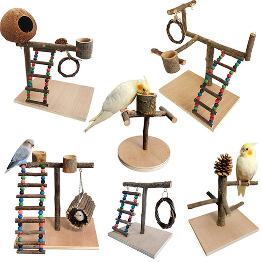 Struttura da Gioco in Legno per Pappagalli – Per Sviluppare Agilità e Intelligenza